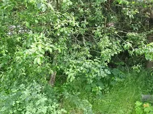 Prodej pozemku, Nejdek, 104 m2