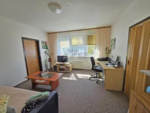 Prodej bytu 2+1, Ostrava - Moravská Ostrava, Hornická, 44 m2