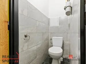 Prodej bytu 2+1, Mladá Boleslav - Mladá Boleslav II, Palackého, 46 m2