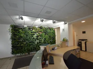 Pronájem kanceláře, Praha - Podolí, Na lysině, 388 m2