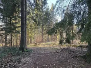 Prodej lesa, Vsetín, Semetín, 96946 m2