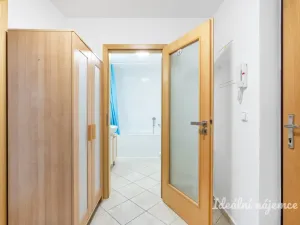 Pronájem bytu 1+kk, Praha - Vinohrady, Lucemburská, 40 m2