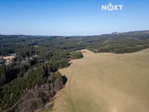 Prodej chalupy, Nepomuk, 100 m2