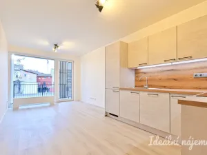 Pronájem bytu 1+kk, Brno, Dornych, 37 m2