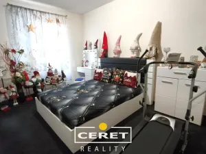 Prodej bytu 2+1, Žatec, Boženy Němcové, 43 m2