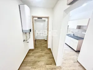 Pronájem bytu 1+1, Opava - Předměstí, Hany Kvapilové, 40 m2