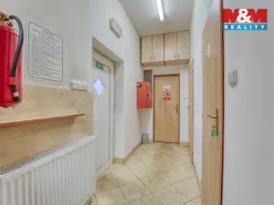 Pronájem komerčního pozemku, Zbůch, 7600 m2