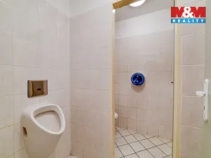 Prodej obchodního prostoru, Mariánské Lázně, Masarykova, 101 m2