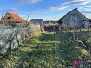 Prodej sadu/vinice, Bořetice, 2567 m2