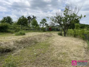 Prodej zahrady, Mikulov, 935 m2