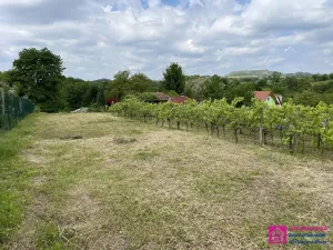 Prodej zahrady, Mikulov, Nová, 935 m2