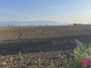 Prodej pozemku pro bydlení, Terezín - Nové Kopisty, 23590 m2