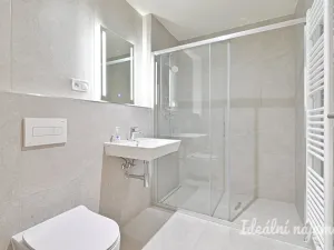 Pronájem bytu 1+kk, Brno, Dornych, 30 m2