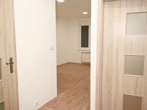 Pronájem bytu 2+kk, Praha - Nusle, Družstevní, 45 m2