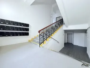 Pronájem bytu 2+kk, Ostrava, Palackého, 55 m2