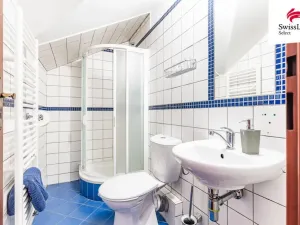 Prodej ubytování, Nový Šaldorf-Sedlešovice, Na Staré cestě, 176 m2