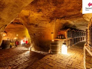 Prodej ubytování, Nový Šaldorf-Sedlešovice, Na Staré cestě, 176 m2