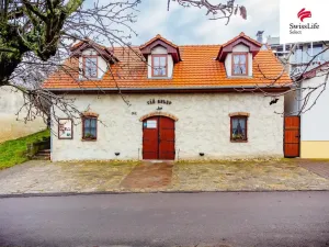Prodej ubytování, Nový Šaldorf-Sedlešovice, Na Staré cestě, 176 m2