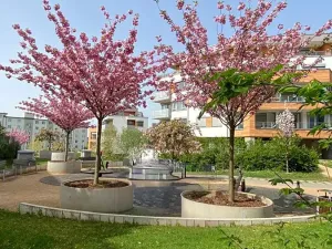 Prodej bytu 2+kk, Praha - Hloubětín, Krylovecká, 55 m2