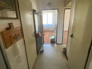 Prodej bytu 2+1, Brno, Plevova, 58 m2