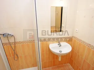 Pronájem bytu 1+kk, Neratovice, 19 m2