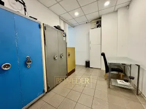 Pronájem obchodního prostoru, Teplice, Masarykova třída, 50 m2