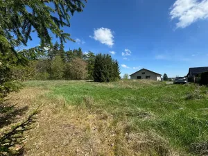 Prodej pozemku pro bydlení, Bohutín, 1379 m2