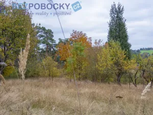 Prodej pozemku pro bydlení, Baliny, 1962 m2