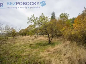 Prodej pozemku pro bydlení, Baliny, 1962 m2