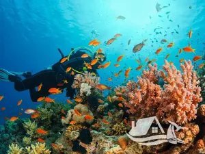 Prodej bytu 2+kk, Pattaya, Thajsko, 32 m2