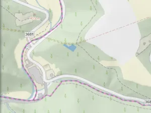 Prodej lesa, Jedlí, 1198 m2