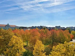 Prodej bytu 3+kk, Plzeň, Habrmannovo náměstí, 121 m2