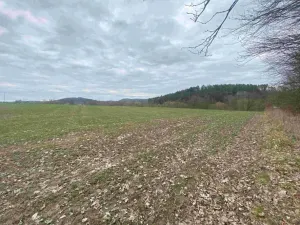 Dražba louky, Žinkovy, 4100 m2