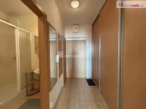 Pronájem bytu 1+kk, Kolín - Kolín V, Mlýnská, 33 m2