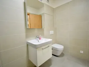 Pronájem bytu 1+kk, Olomouc - Povel, Slavonínská, 41 m2
