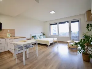 Pronájem bytu 1+kk, Olomouc - Povel, Slavonínská, 41 m2