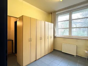 Pronájem obchodního prostoru, Český Těšín, Frýdecká, 160 m2