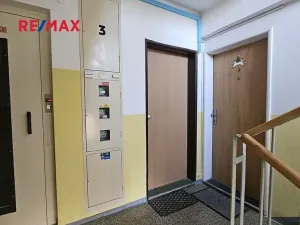 Pronájem bytu 1+1, Kolín, Dělnická, 31 m2