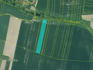 Dražba pole, Dražíč, 11296 m2