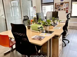 Pronájem kanceláře, Praha - Nové Město, Vladislavova, 974 m2