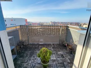 Pronájem bytu 2+kk, Brno, Bučkova, 49 m2