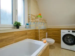 Pronájem rodinného domu, Ústí nad Labem - Neštěmice, Železná, 250 m2