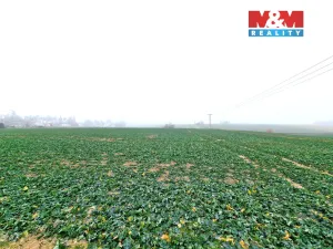 Prodej pozemku pro bydlení, Štěpánkovice, 5343 m2