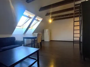 Prodej bytu 1+kk, Praha - Vysočany, Novovysočanská, 41 m2