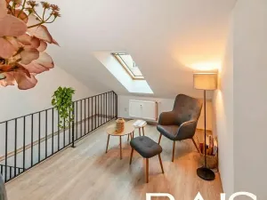 Prodej bytu 2+kk, Brno, Křenová, 55 m2