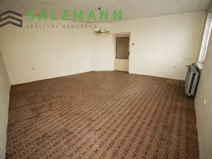 Prodej rodinného domu, Starý Plzenec, Rašínova, 240 m2