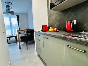 Prodej bytu 1+kk, Janov nad Nisou, 31 m2