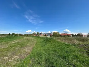 Prodej pozemku pro bydlení, Dašice, Jungmannova, 950 m2