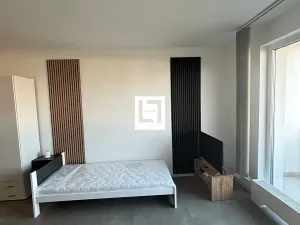 Pronájem bytu 1+kk, Olomouc, Aloise Rašína, 31 m2