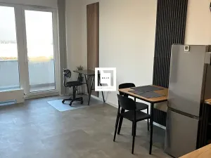 Pronájem bytu 1+kk, Olomouc, Aloise Rašína, 31 m2